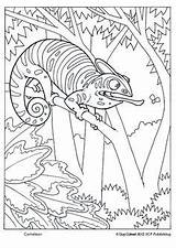 Kelp Forest Coloring Pages At GetDrawings  Free Download sketch template