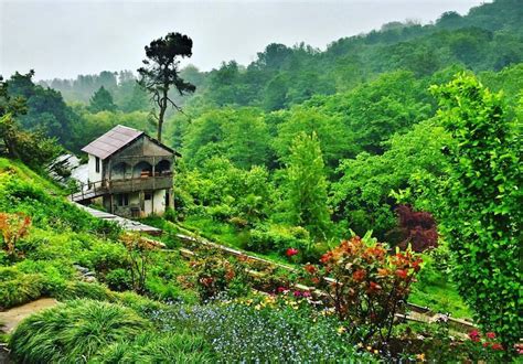 Batumi Botanical Garden in Georgia