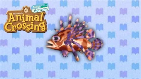 Animal Crossing: New Horizons Zebra Turkeyfish: When Does it Spawn?