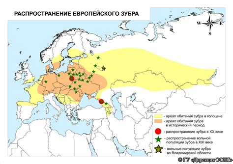 Distribution of European bison · iNaturalist