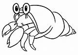 Little Cute Hermit Crab Coloring Page  Free Printable Pages sketch template