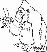 Monkey And Banana Coloring Page  Free Printable Pages For Kids sketch template