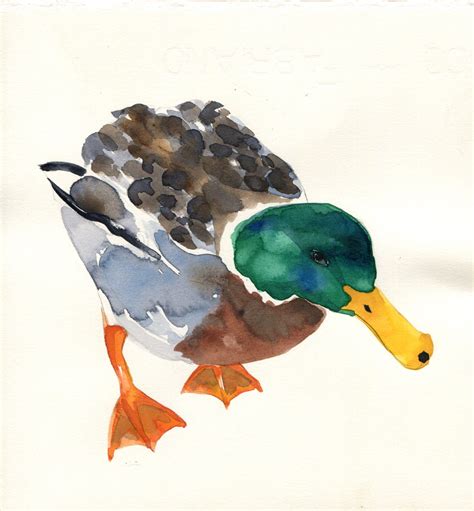 Watercolour mallard duck | Animal paintings acrylic, Watercolor flowers paintings, Watercolor ...