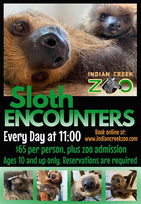 Encounters – Indian Creek Zoo