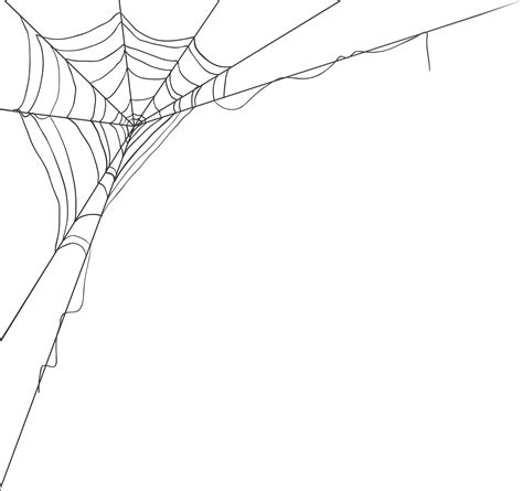 Spider Web Corner PNG Clip Art Image in 2023 | Spider web drawing ...