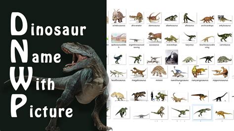 Dinosaur Name With Picture | Types Of Dinosaur, Stegosaurus ...