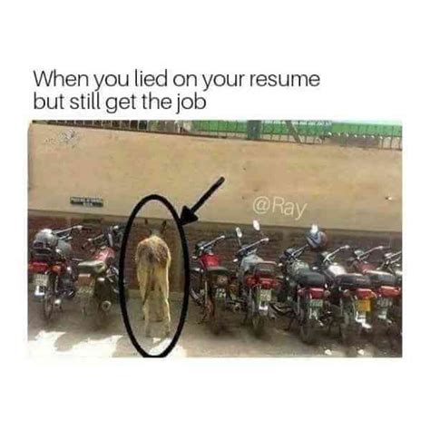 When You Lie on Your Resume Meme (Hilarious Memes Only)