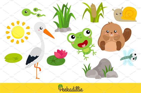 Pond Wild Animals Vector Clipart – MasterBundles