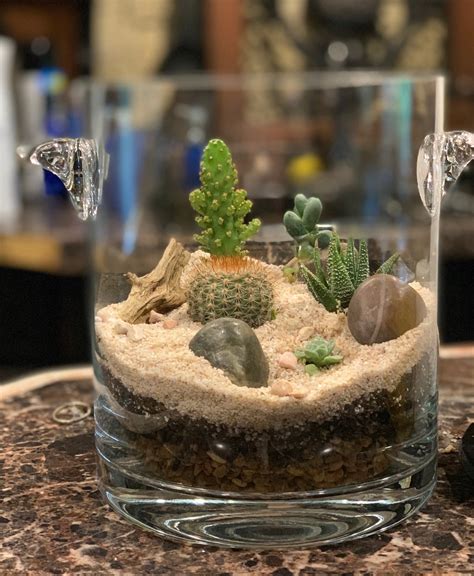 Build Your Own Cactus Terrarium (With Pictures)| Succulents Network