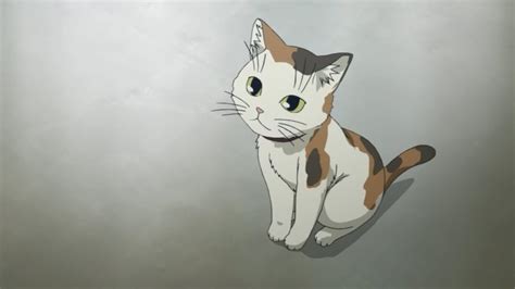 Famous Cat Names In Anime : Popular Japanese Anime Names - Anime, as in ...