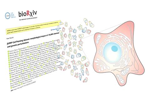 New publication: The JUMP Cell Painting dataset, studying the morphological impact of 136,000 ...