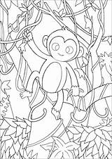 49  Monkey Coloring Pages For Preschoolers PNG Color Collection sketch template
