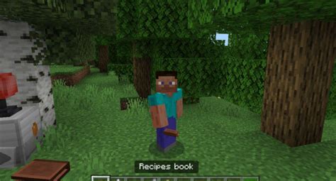 Download Education Edition Mod for Minecraft PE: the learning process