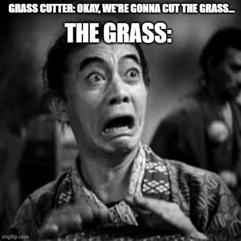 Grass When They're Gonna Get Cutted... - Imgflip