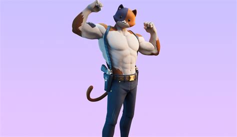 1333x768 Resolution Fortnite Meowscles Skin Outfit 4K 1333x768 ...