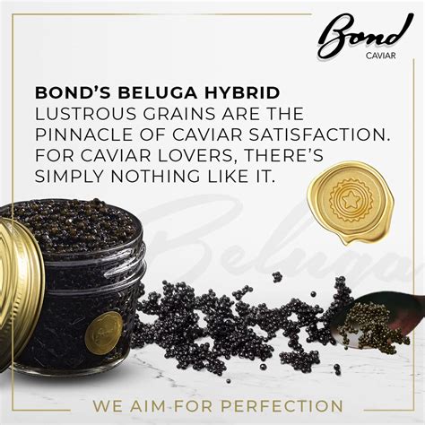 Does Caviar Taste Good? Indulge in Luxury with Beluga Caviar - Infogrocery