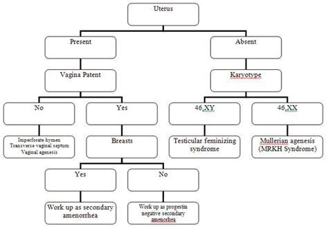 Managing Amenorrhea – 2