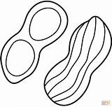 Dibujo De Maní Para Colorear  Dibujos Imprimir Gratis sketch template