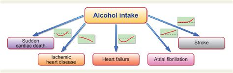 Figure 1 from Alcohol consumption and incident cardiovascular disease ...