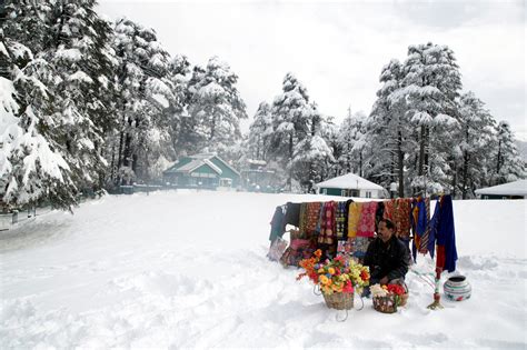 15 mesmerizing photos capture Kashmir's first snowfall of the season ...