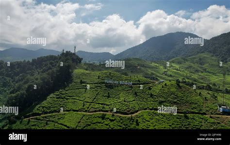 Aerial view of The Beautiful scenery on top of hill Puncak Bogor. Bogor ...