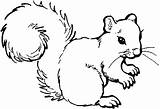 Free Forest Animals Coloring  Clipart Panda Images sketch template