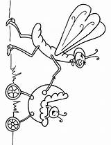 DISEGNI INSETTI Disegni Per Bambini Da Stampare E colorare By Colora  sketch template