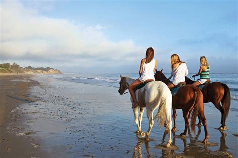 Horseback Riding in Santa Barbara | Beach Tours