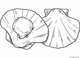Clam Coloring Pages Printable For Free Download sketch template