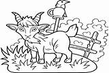 50  Goat Coloring Pages Free Printable PDF JPG PNG & Online sketch template