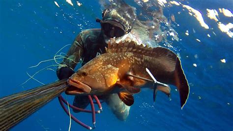 Spearfishing TV • Summer is here • Spearfishing Greece - YouTube