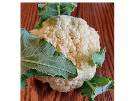 Sprouting Cauliflower - Bibb Forest Farm- Regenerative, organically grown vegetables, raw honey ...