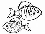 Free Printable Fish Coloring Pages For Kids sketch template