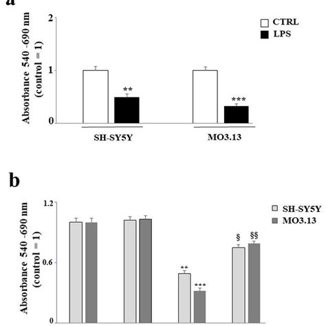 The 17-beta estradiol (17-β-E2) protects oligodendrocytes and neurons ...