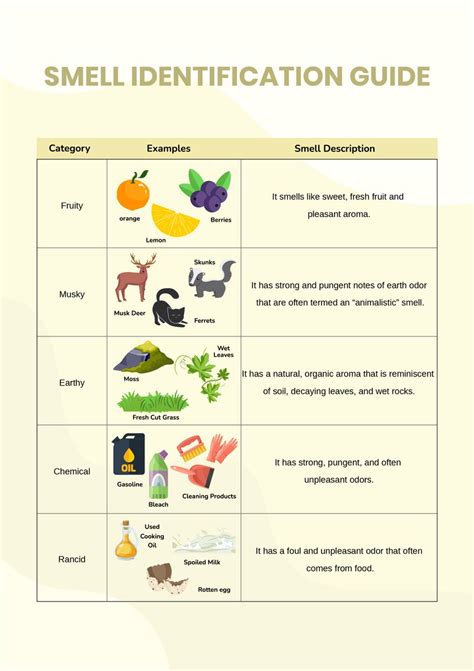 Smell Identification Chart in Illustrator, PDF - Download | Template.net