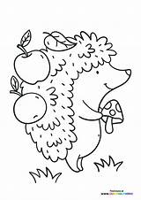 Cute hedgehog With Apples  Coloring Pages For Kids sketch template