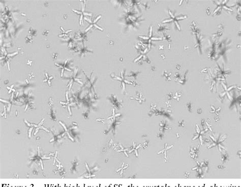 Figure 3 from Changes in calcium oxalate crystal morphology as a ...