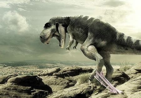 Funny dinosaur wallpaper desktop |Funny Animal