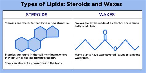 [DIAGRAM] Diagram Of The Chemical Structure Of Ear Wax - MYDIAGRAM.ONLINE