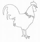 Chicken Chook Coloring Pages sketch template