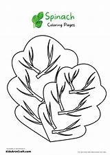 Spinach Coloring Pages For Kids – Free Printables  Art & Craft sketch template