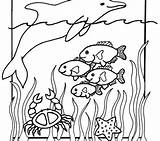 Aquarium Coloring Pages For Kids At GetColoringscom  Free Printable sketch template