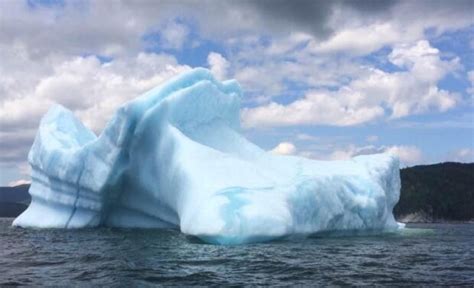 Man heads out for a swim — then climbs atop iceberg near Twillingate, N.L. - Newfoundland ...