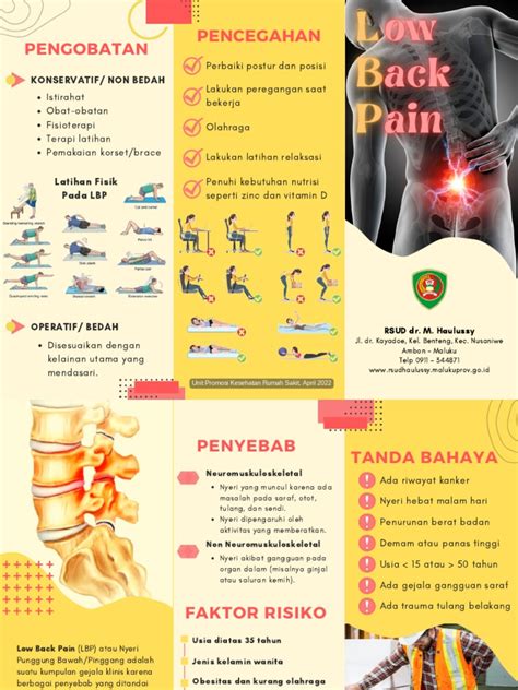 Leaflet - Nyeri Pinggang - Low Back Pain (LBP) - RSUD Dr. M. Haulussy | PDF