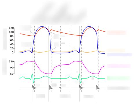 Wiggers Diagram Diagram | Quizlet