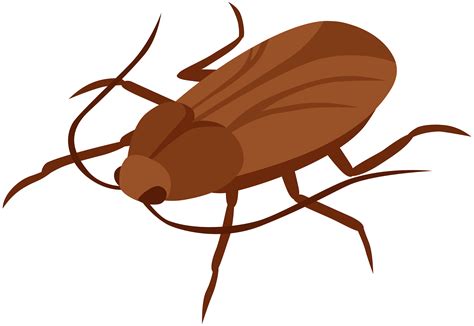 Roach Clipart | Free download on ClipArtMag