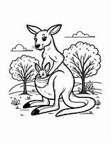 Free Kangaroo Coloring Pages For Kids sketch template