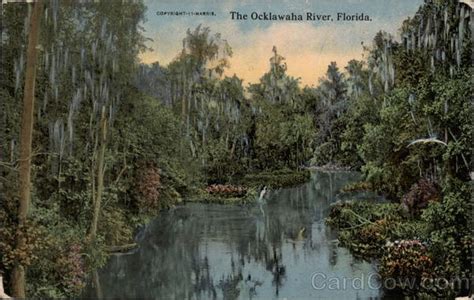 The Ocklawaha River Florida