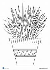 20 Free Printable plant coloring pages  ESL Vault sketch template