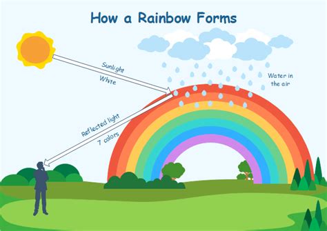 how a rainbow is formed - Google Search | Science education, Make charts, Software project ...